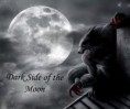 /album/galeria-de-fotos-/eu-sou-1-jpg/